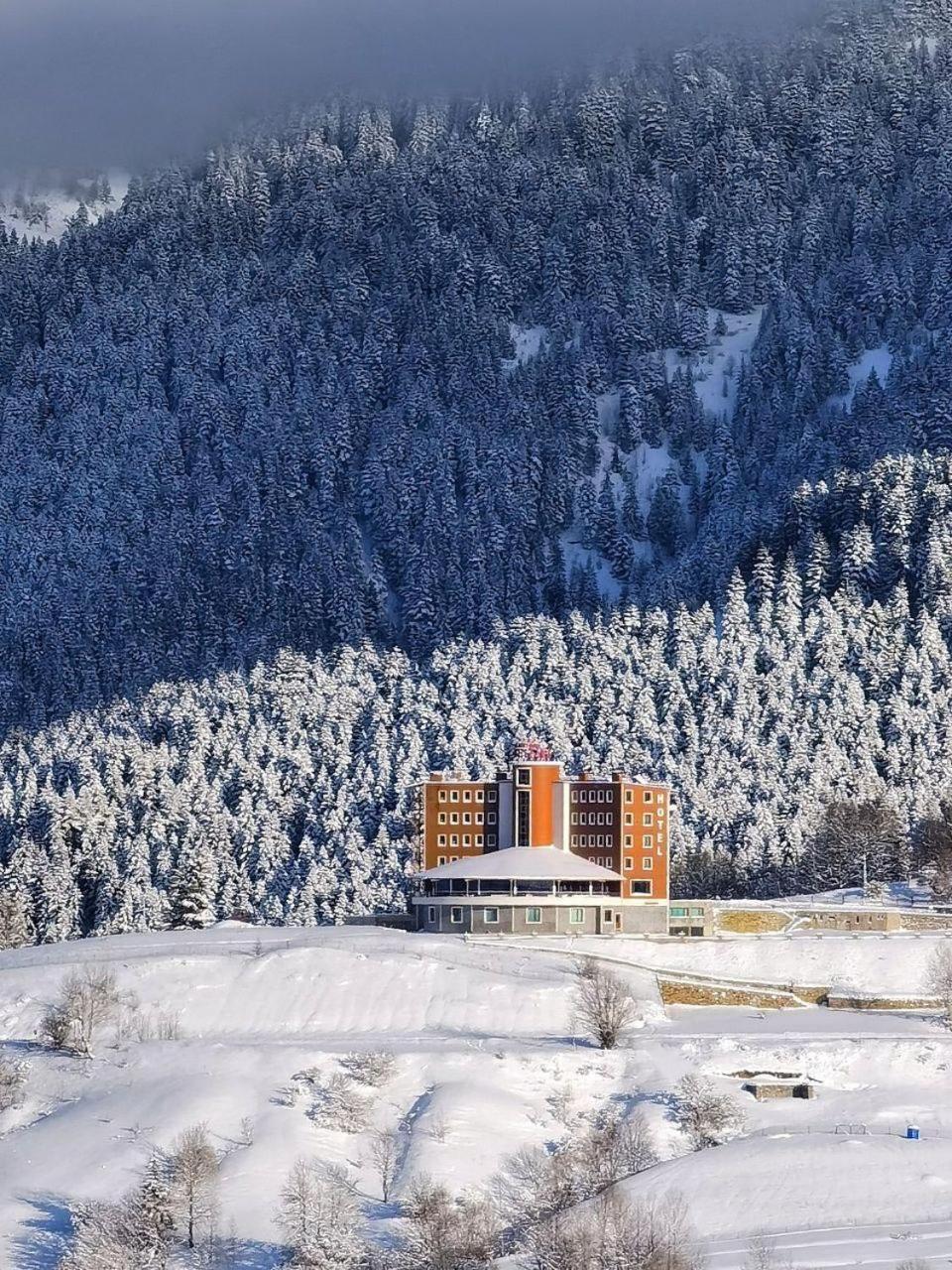 Black Forest Hotel Savsat Exterior photo